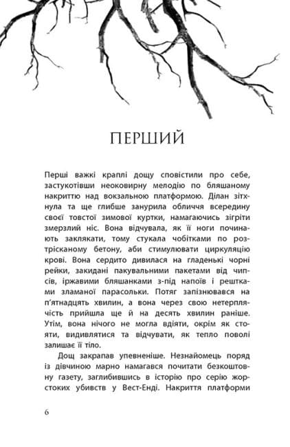 Провідник, фото - 3