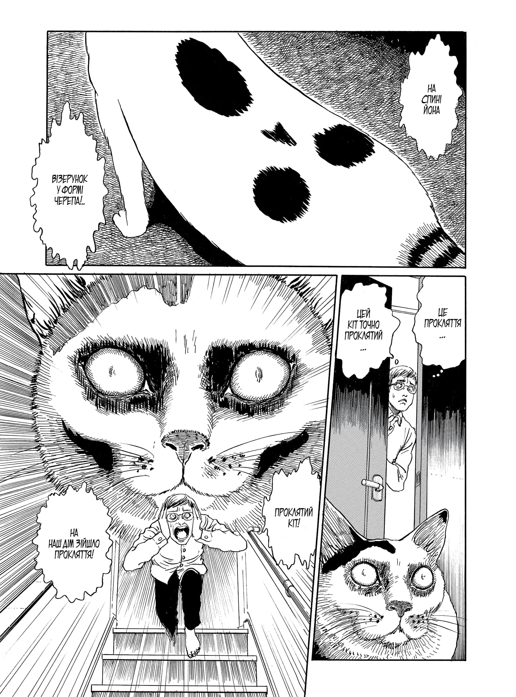 Котячий щоденник Джюнджі Іто : Йон та Му, фото - 3