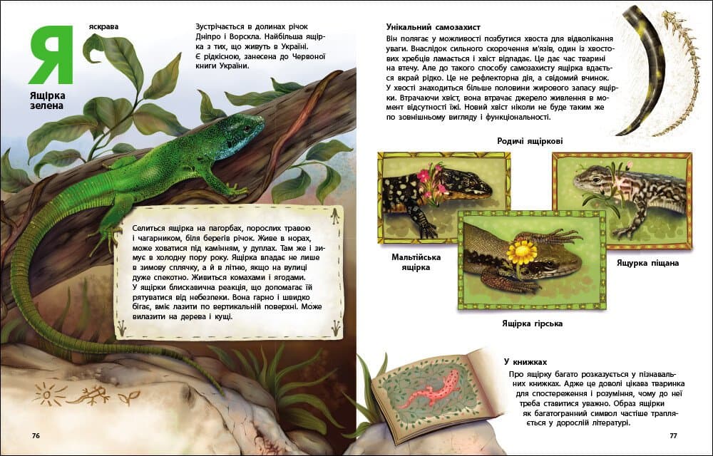 Живий світ України, фото - 2