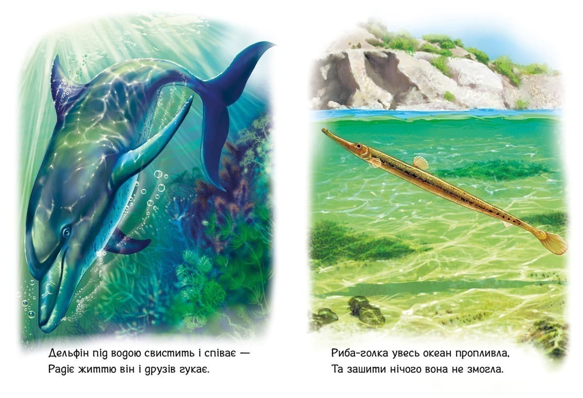 Тварини світу (Малятам про звіряток), фото - 3