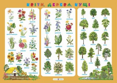 Плакат &amp;quot;Квіти, дерева, кущі&amp;quot;