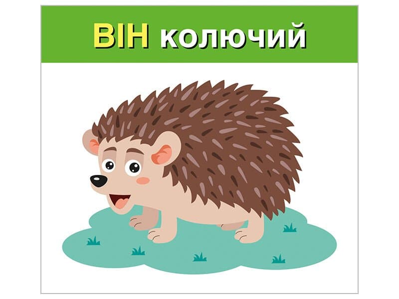 Вивчаємо займенники ВІН, ВОНА, ВОНО, ВОНИ (навчальні картки), фото - 2