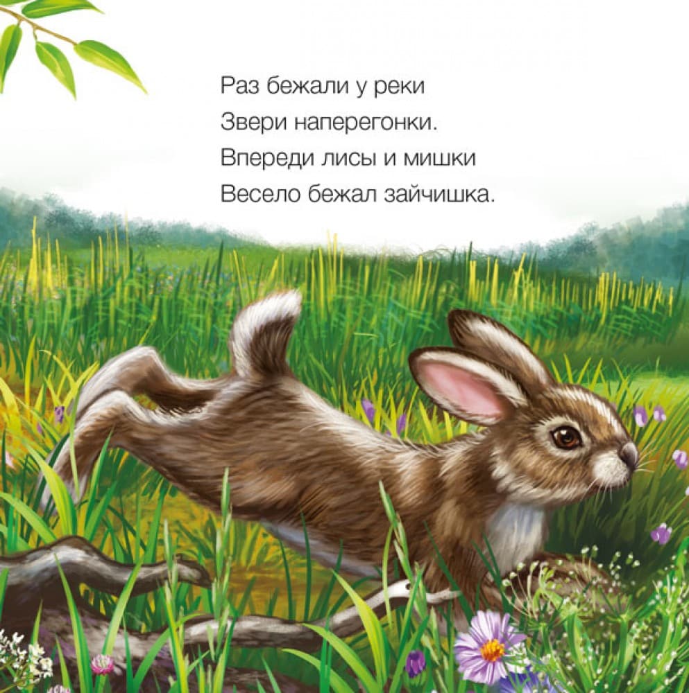 Зайчик, фото - 2