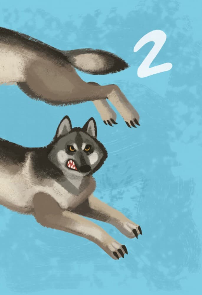 Рахуємо до 10, фото - 3