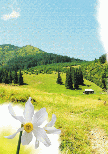 Парки та заповідники, фото - 2