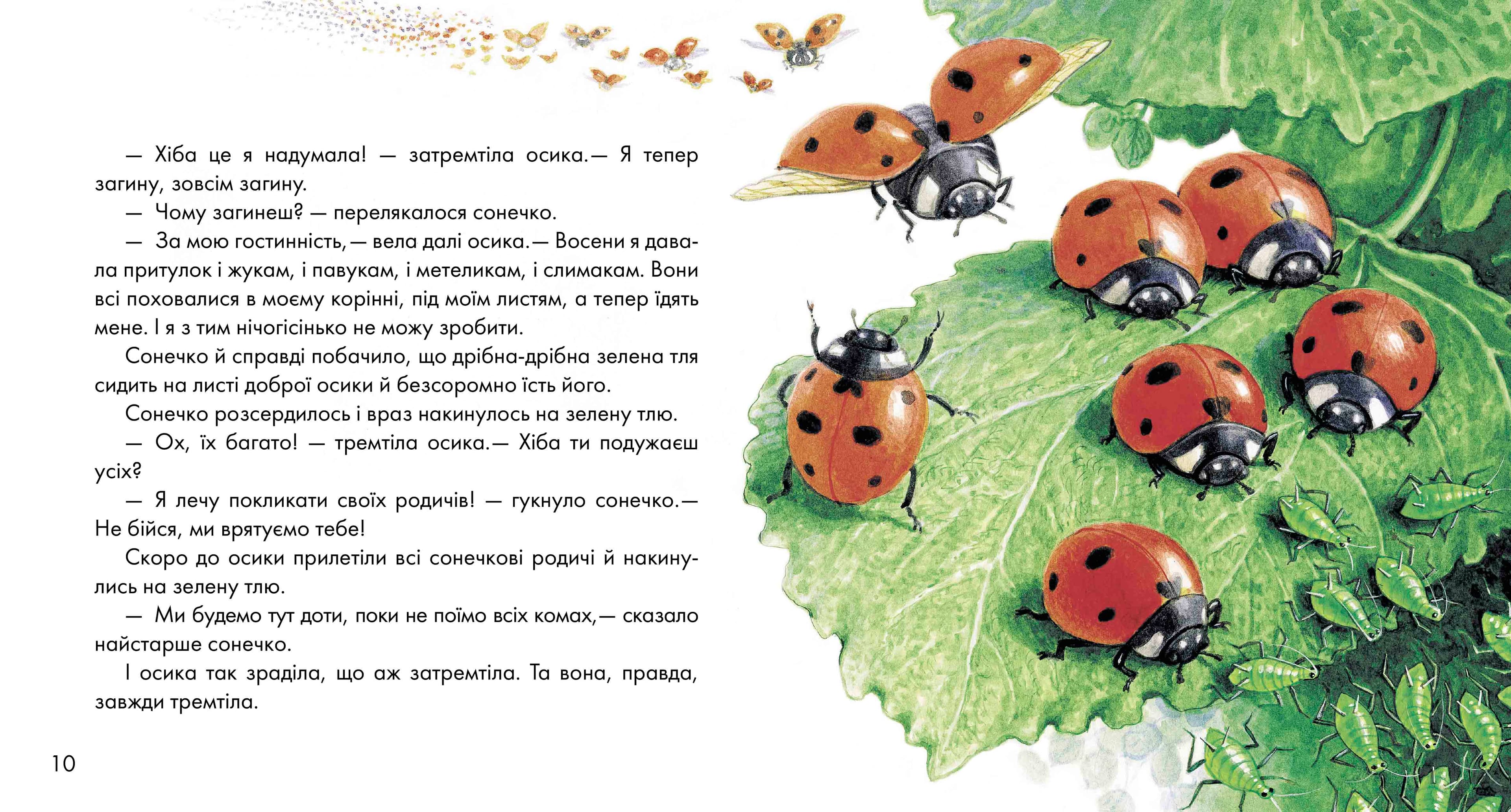 Жовтий гостинець, фото - 3