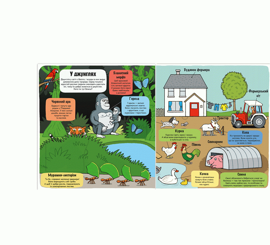 Маленькі дослідники: Світ тварин, фото - 2