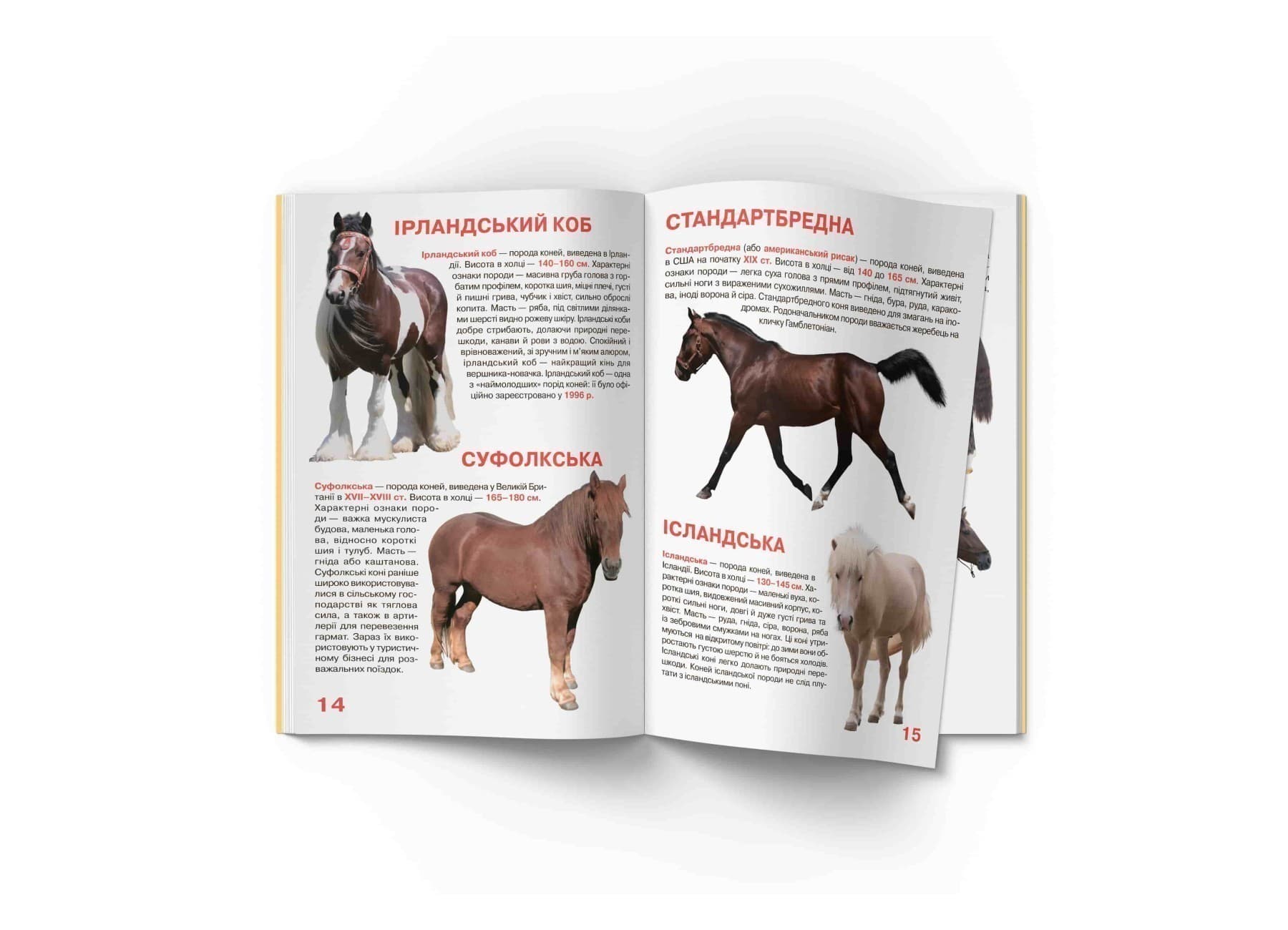 Велика книжка. Коні і поні, фото - 3