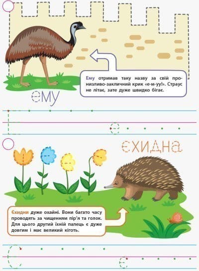 Прописи для розумників. Хто не літає?, фото - 2