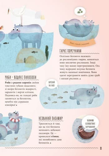 Несподівана дружба у природі, фото - 3