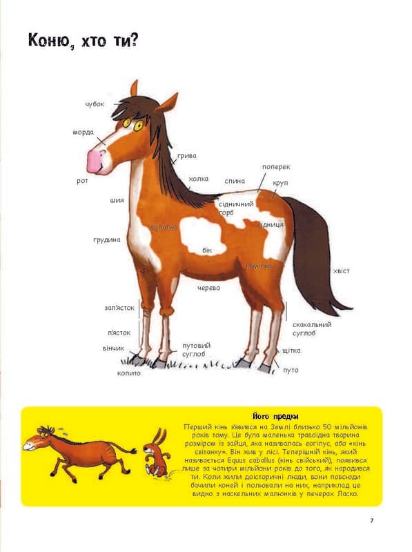 Усе про коней... і не тільки, фото - 3