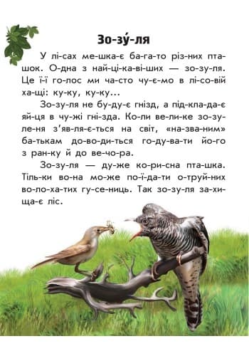 Читаємо по складах. Тваринний світ лісів, фото - 3