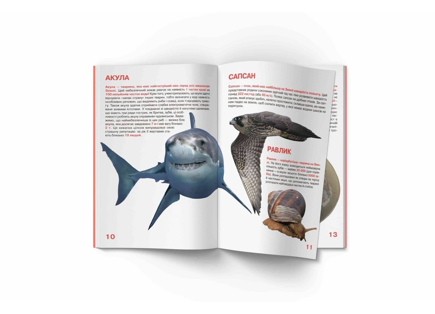 Велика книжка. Рекорди тваринного світу, фото - 3