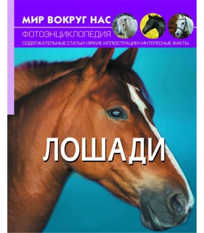 Мир вокруг нас. Лошади, фото - 1