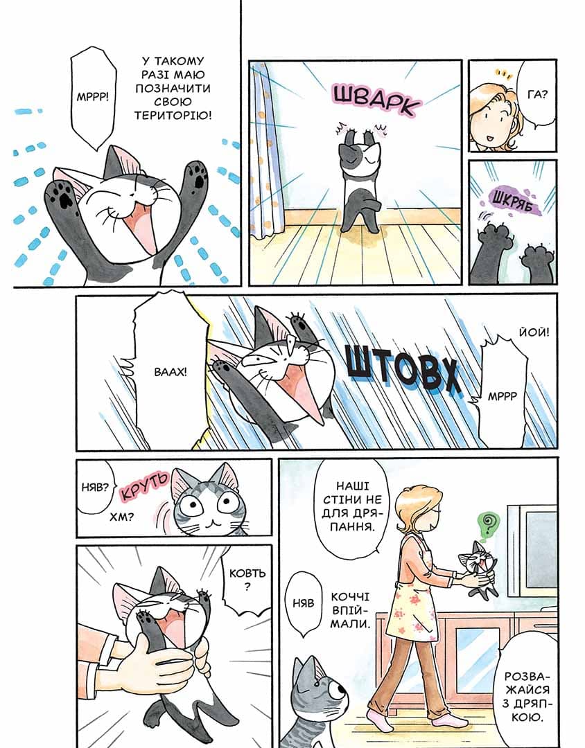 Чi &amp;quot;Життя однієї киці&amp;quot; Том 10, фото - 3
