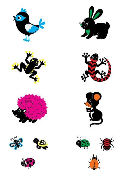 Контрастні картинки. Мої перші улюбленці, фото - 2