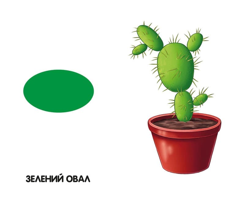 Кольори та форми, фото - 3