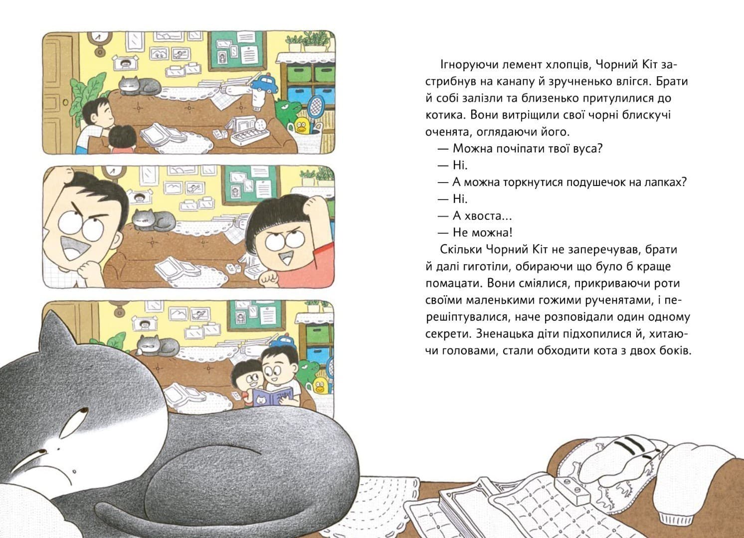 Чорний Кіт — помічник. Дотримуйтеся порядку в резиденції!, фото - 3