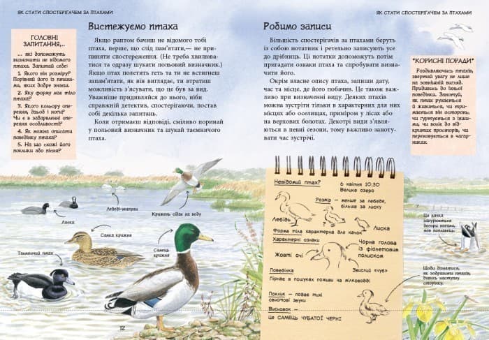Спостерігаємо за птахами, фото - 2