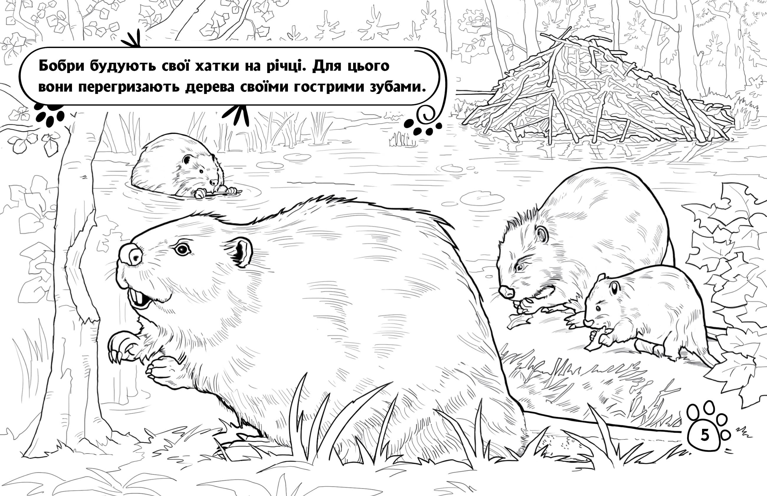 Розмальовка. Тварини в лісі, фото - 2