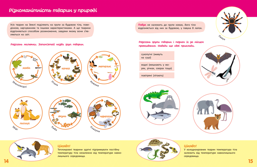 Школа Кенгуру. Пізнаємо світ. IІІ крок, фото - 3
