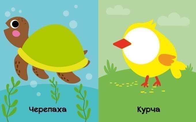 На кого схожі тваринки?, фото - 2