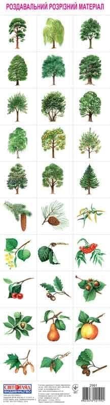 Розрізний матеріал &amp;quot;Дерева&amp;quot;, фото - 1