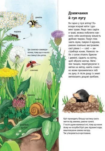 Тварини (Моя перша мальована енциклопедія), фото - 3