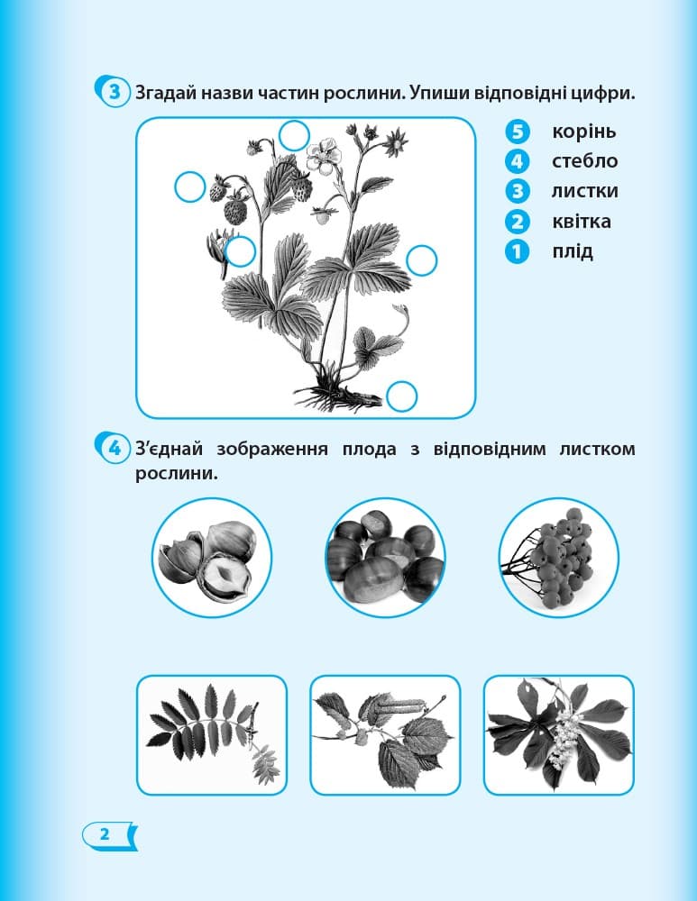 Н530233У; Я досліджую світ. 1 клас. Робочий зошит. До пiдручника Гiлберг Т. Г. У 4-х частинах. Части, фото - 3