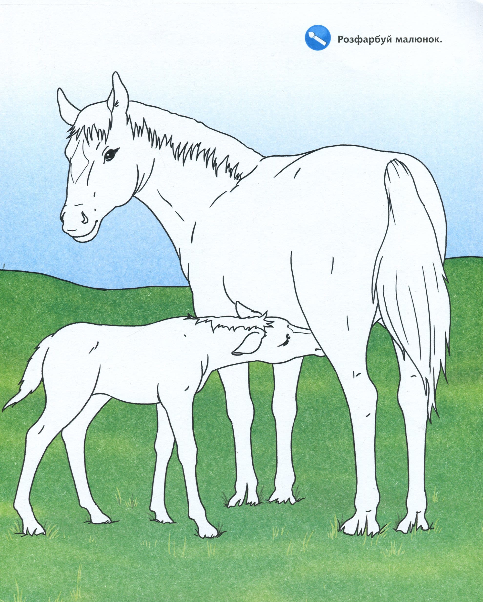 Чому? Чого? Навіщо? Малята тварин : Інтерактивна книжка для дітей віком від 4 до 7 років, фото - 3