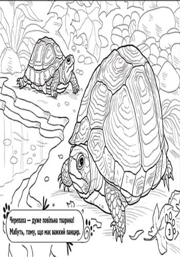 В оселі, фото - 3