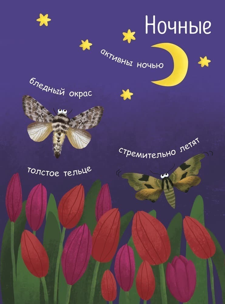 Как рождается бабочка?, фото - 2