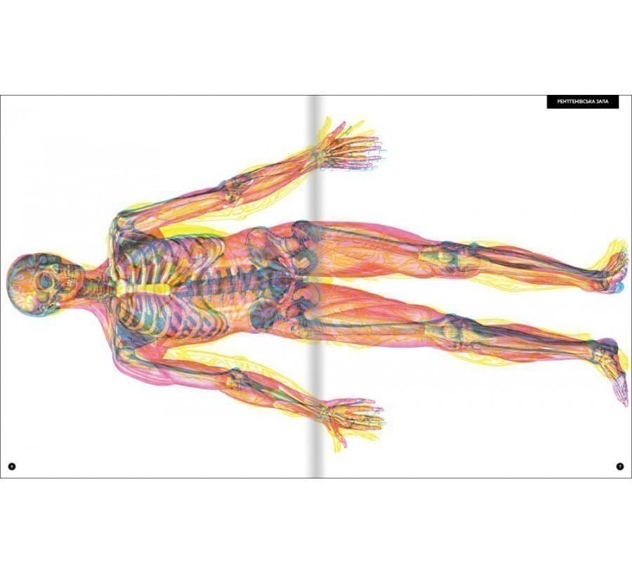 Прихований світ людського тіла Кейт Дейвіс, фото - 2