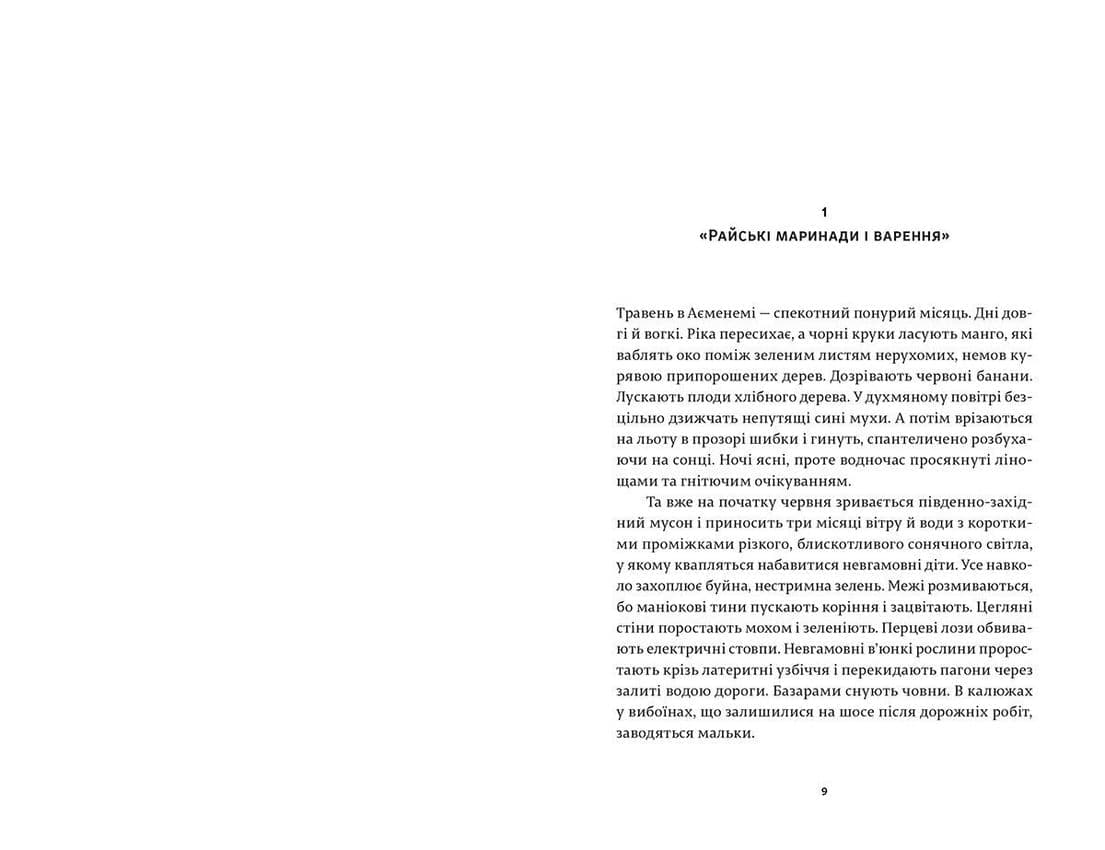 Бог Дрібниць, фото - 3
