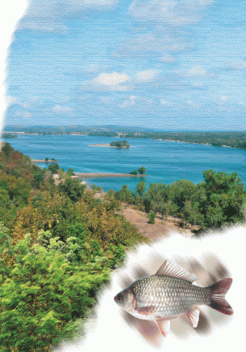 Річки та озера, фото - 3