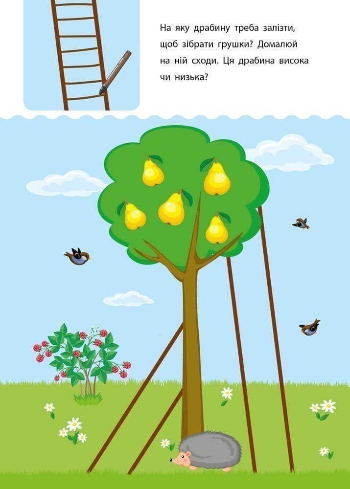 Креативна навчалочка 3–4 роки, фото - 2