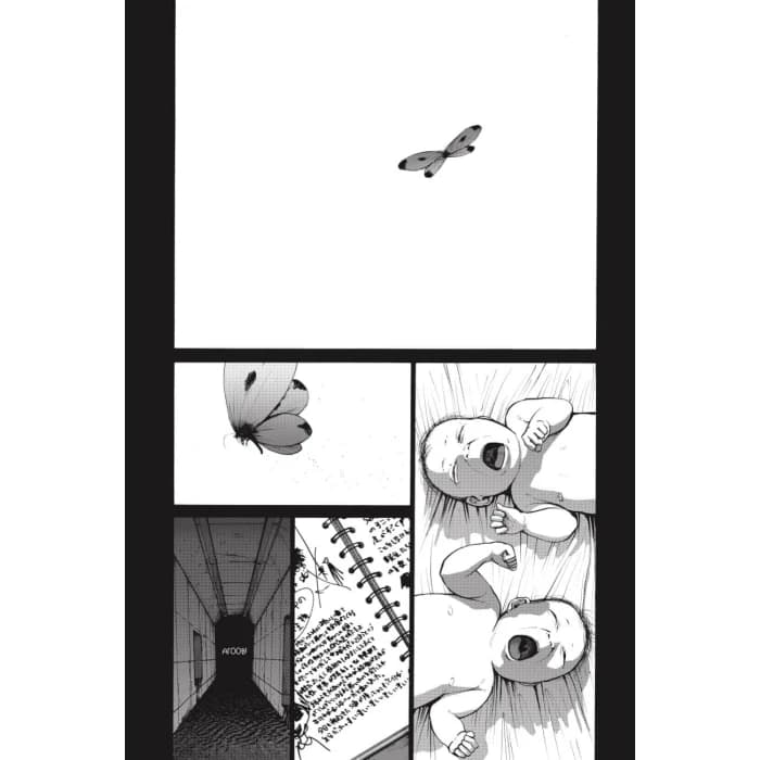 Голограф Веселкового поля, фото - 2