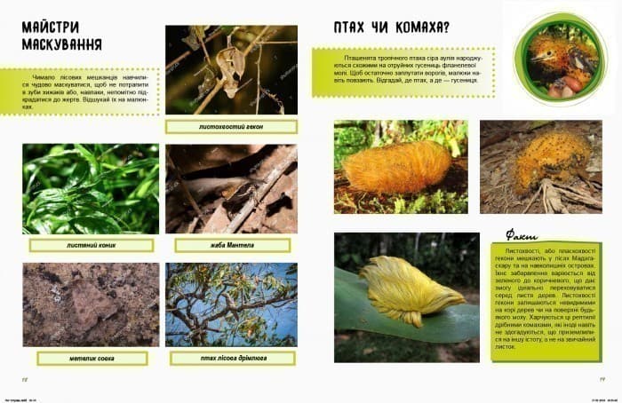 Життя лісу. Зошит, фото - 3