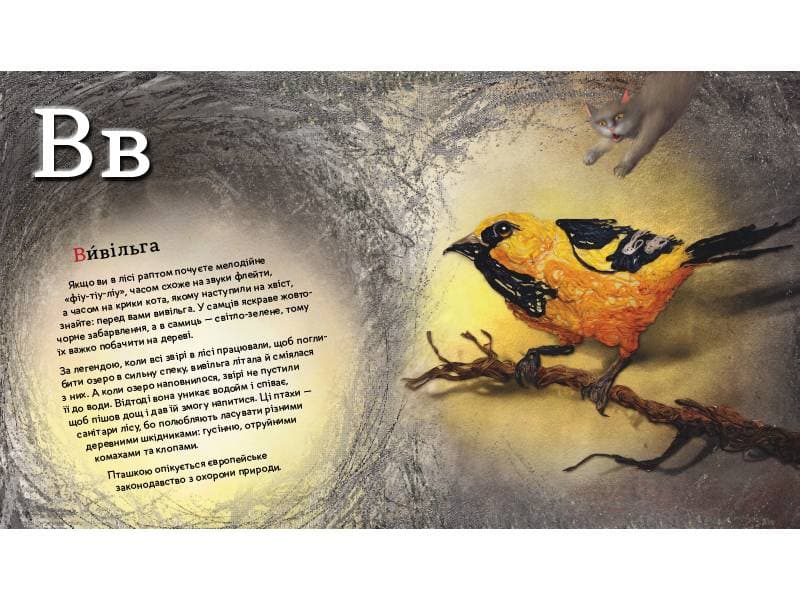 ПтахАбетка. Українські пернаті, фото - 3