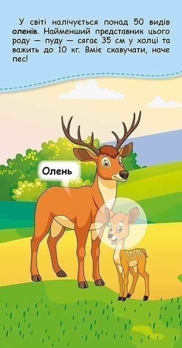 Книжка у кишеню з наліпками. Де чий малюк?, фото - 2