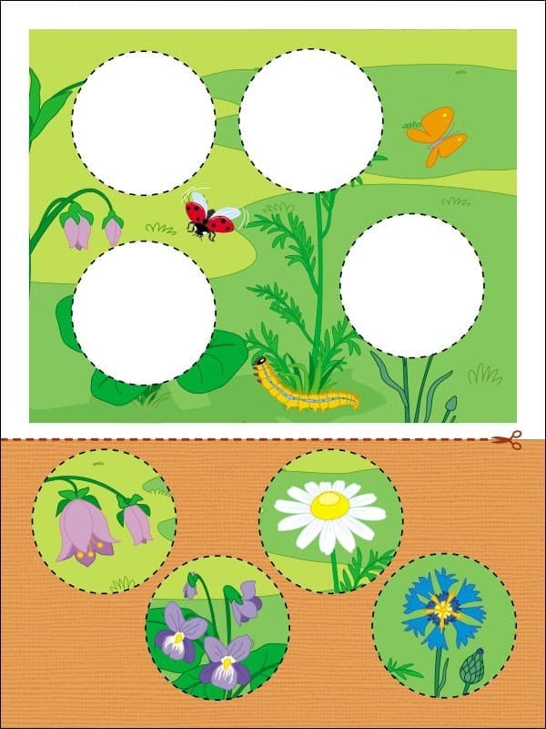 Аплікації. Рівень 4. Вирізання кругів, овалів, фото - 2