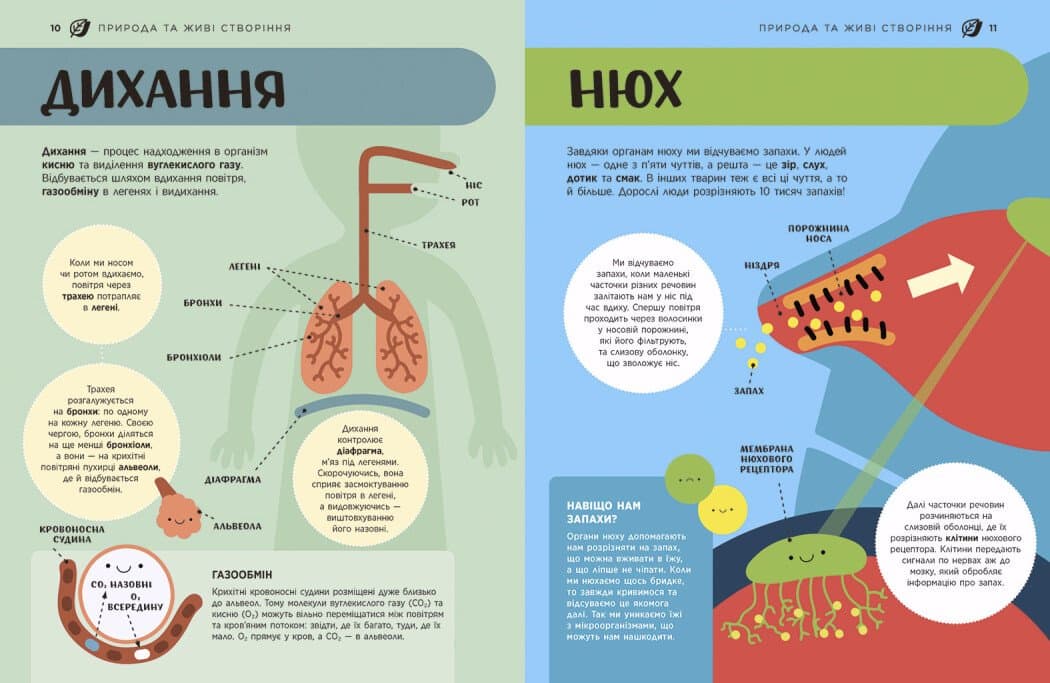 Енциклопедія STEM для дітей: 100 понять майбутнього генія, фото - 3