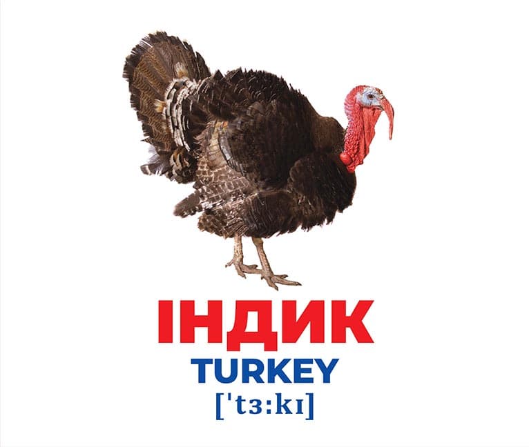 Геній з пелюшок.Свійські тварини, фото - 2