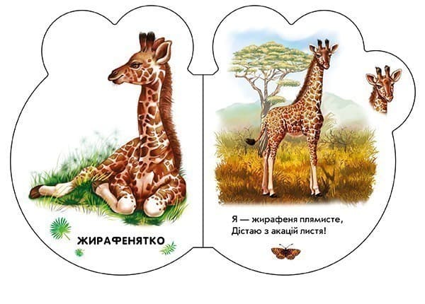 У зоопарку, фото - 2