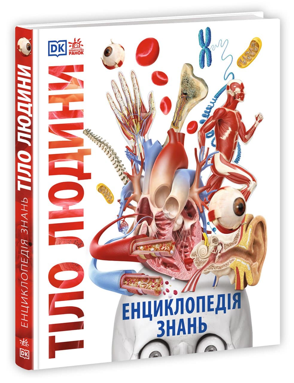 Енциклопедія знань. Тіло людини, фото - 1