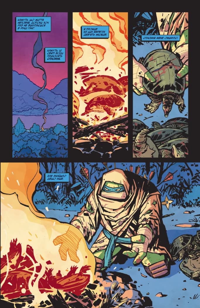 Підлітки Мутанти Нінджя Черепахи. Випуск 3 (обкладинка 2), фото - 3