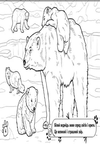 У далеких країнах, фото - 2