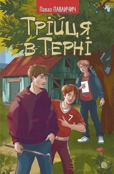 Трійця в Терні, фото - 1