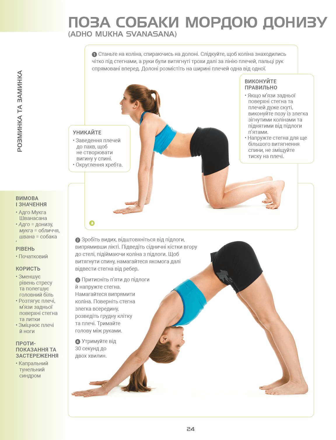 Анатомія йоги. Ілюстрований посібник, фото - 2