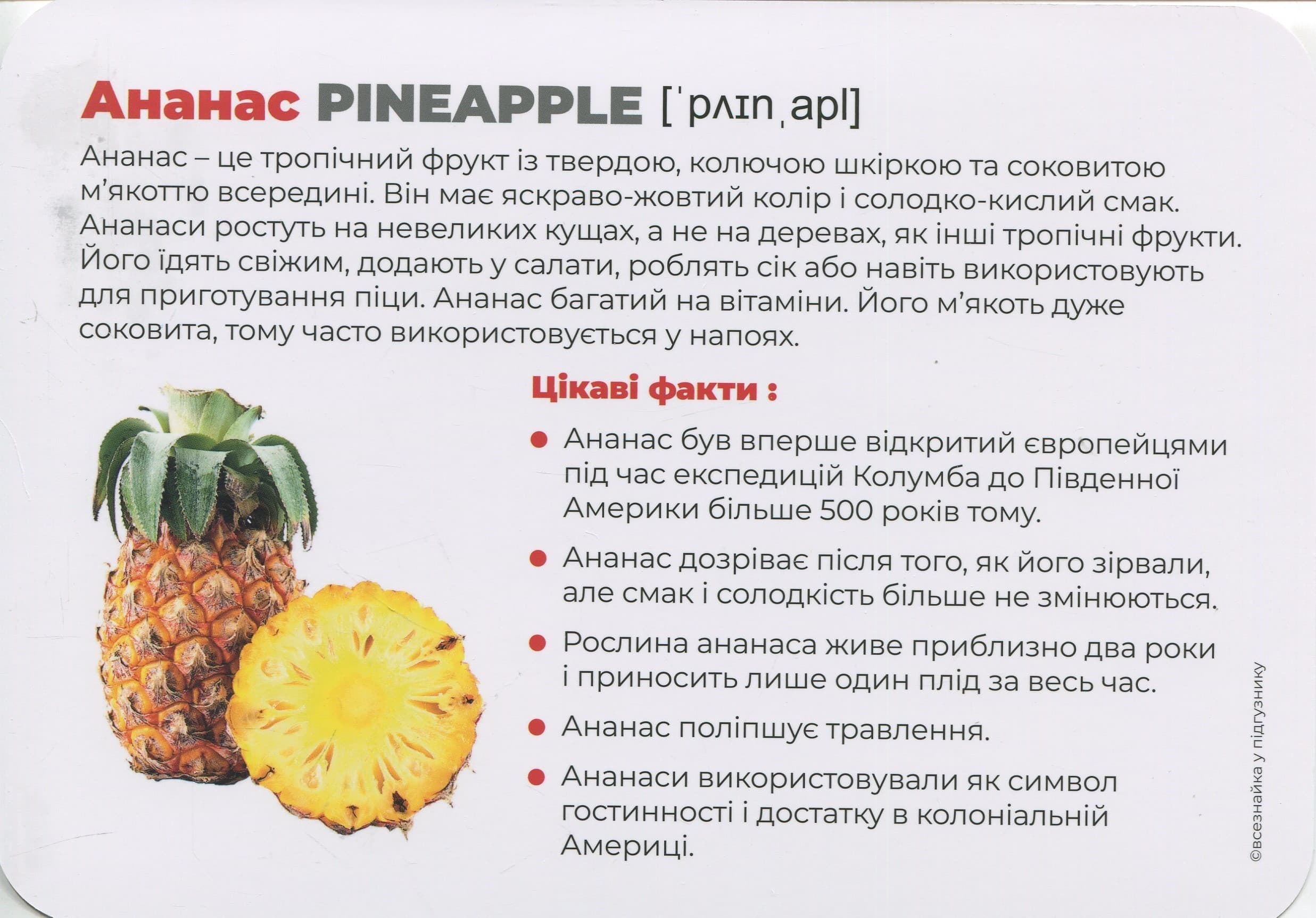 Овочі та фрукти. Монтессорі-картки, фото - 3